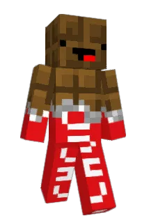 HK_504 Minecraft avatar full body