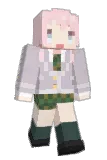 HL8910 Minecraft avatar full body