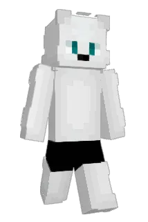 HMDragon1 Minecraft avatar full body