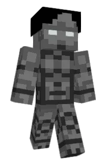 HMHWQ Minecraft avatar full body