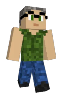 HNDH_Present Minecraft avatar full body