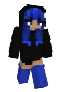 HNLS Minecraft avatar full body