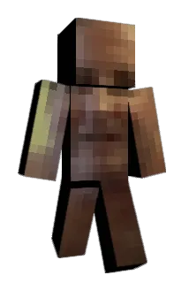 HN_Joco Minecraft avatar full body