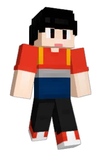 HO08 Minecraft avatar full body