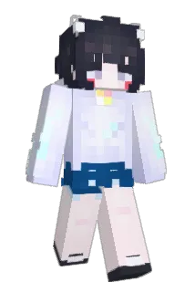 HO9MON Minecraft avatar full body