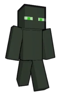 HOIIDEEZ11 Minecraft avatar full body
