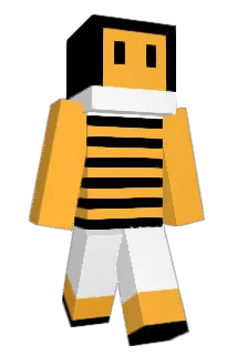 HON2B Minecraft avatar full body