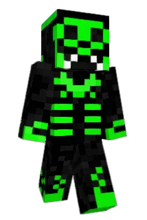 HOOT33 Minecraft avatar full body