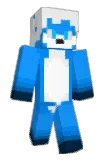 HPCarpet Minecraft avatar full body