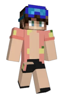 HPComputer Minecraft avatar full body