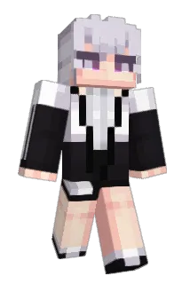 HPJ_101 Minecraft avatar full body