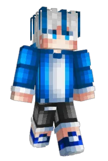 HPMota Minecraft avatar full body