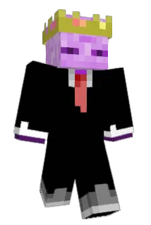HPTide Minecraft avatar full body