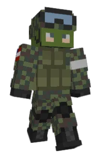 HPZ202 Minecraft avatar full body