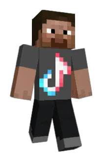 HPapi Minecraft avatar full body