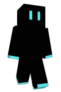 HRS8470 Minecraft avatar full body
