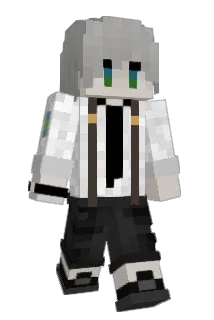 HSHmc Minecraft avatar full body