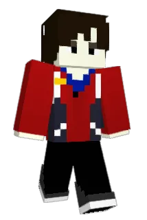 HSKK2016 Minecraft avatar full body