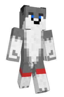 HSK_1020 Minecraft avatar full body