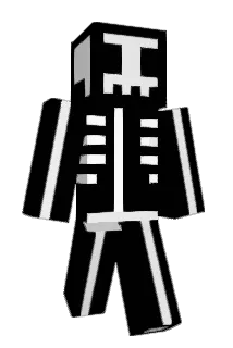 HSLaSH Minecraft avatar full body
