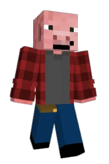 HT1K Minecraft avatar full body