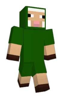 HTJ4800000000 Minecraft avatar full body