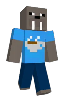 HTU_Folgers Minecraft avatar full body
