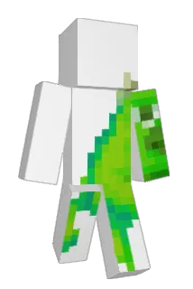 HTurtle13 Minecraft avatar full body