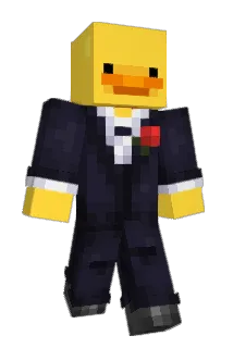 HULLMEES Minecraft avatar full body