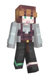 HUMAN1211 Minecraft avatar full body