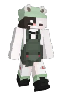 HUMAN_BEEE Minecraft avatar full body