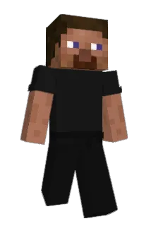 HV14111 Minecraft avatar full body