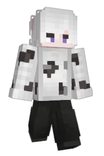 HWD1998 Minecraft avatar full body