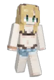 HWJ555 Minecraft avatar full body