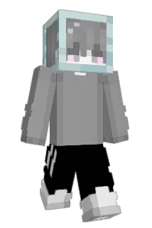 HY2H Minecraft avatar full body