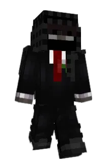 HYLN Minecraft avatar full body
