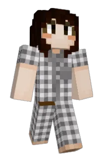 HYOS1N Minecraft avatar full body