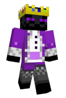 HYperBEd360 Minecraft avatar full body