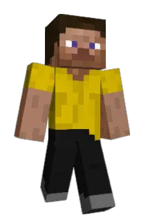 HZ1001 Minecraft avatar full body