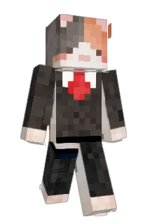 HZ_Saaamy Minecraft avatar full body