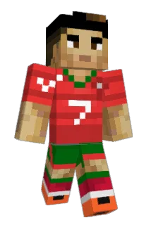 H_D4wg Minecraft avatar full body