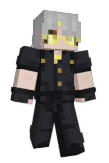 H_H5 Minecraft avatar full body