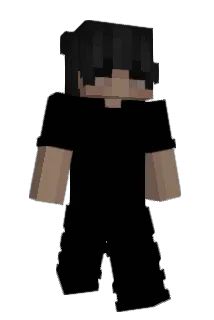 H_Q Minecraft avatar full body
