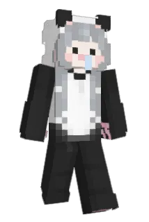 H___O Minecraft avatar full body