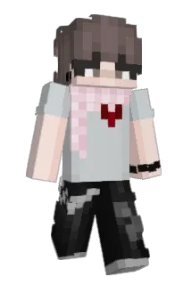H_v_ Minecraft avatar full body