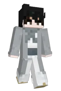 HaM_seob Minecraft avatar full body