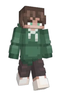 HaMossad Minecraft avatar full body