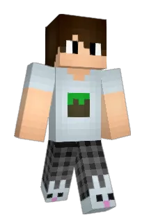 HackNotFound_ Minecraft avatar full body