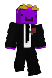 Hackeltoni Minecraft avatar full body