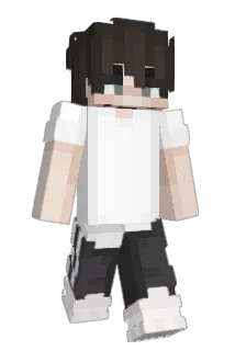 HackingCrumpets Minecraft avatar full body
